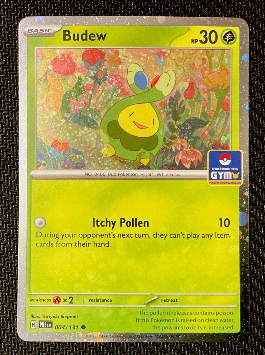 Budew [Gym Stamp], Prismatic Evolutions