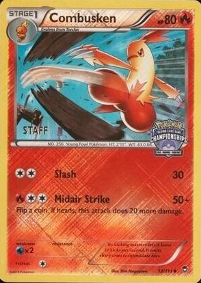 Combusken [State Championship Staff], XY - Furious Fists
